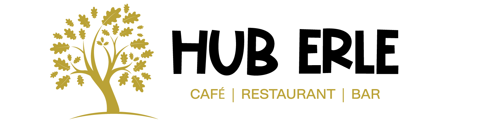 Logo von HUB Erle